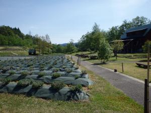 かおりの広場【30.05.11-01】