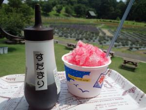 酢だまり氷（１）