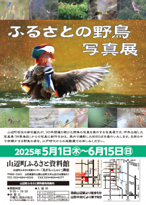 ふるさとの野鳥写真展