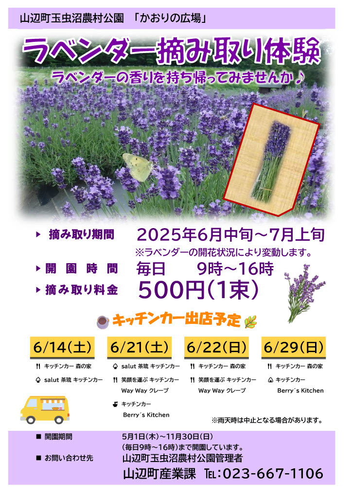 チラシ表