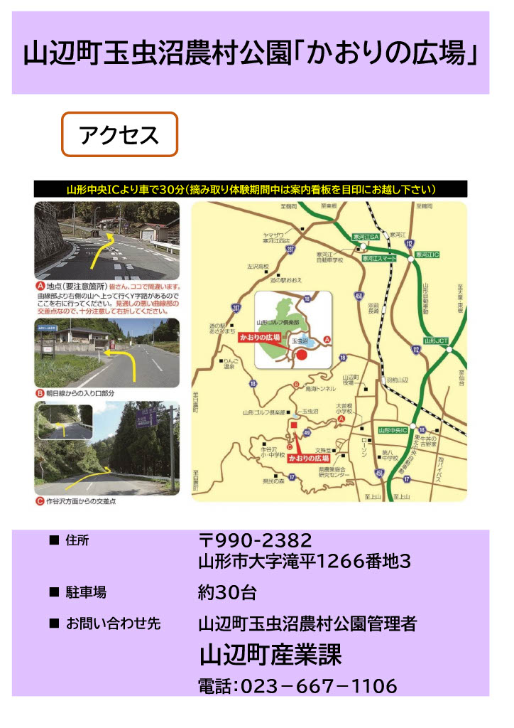 チラシ裏
