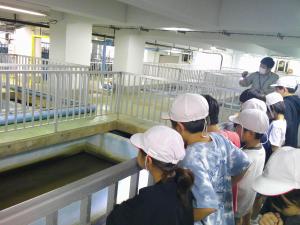 4年社会科見学④