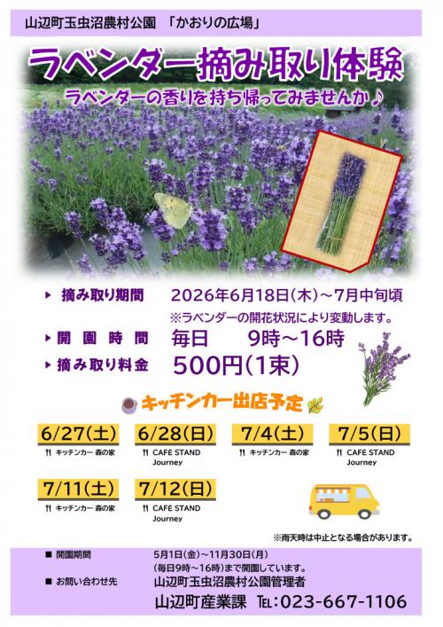 チラシ表