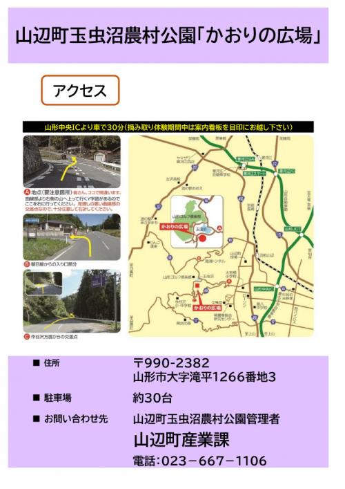 チラシ裏